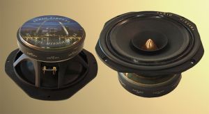 Audio Nirvana Super 8 - Full range speaker driver
