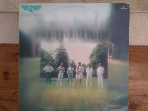 Vinyl - B Z N  -  Reflections,  Made in Bulgaria